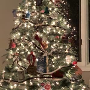 Meet your Posher, Jane